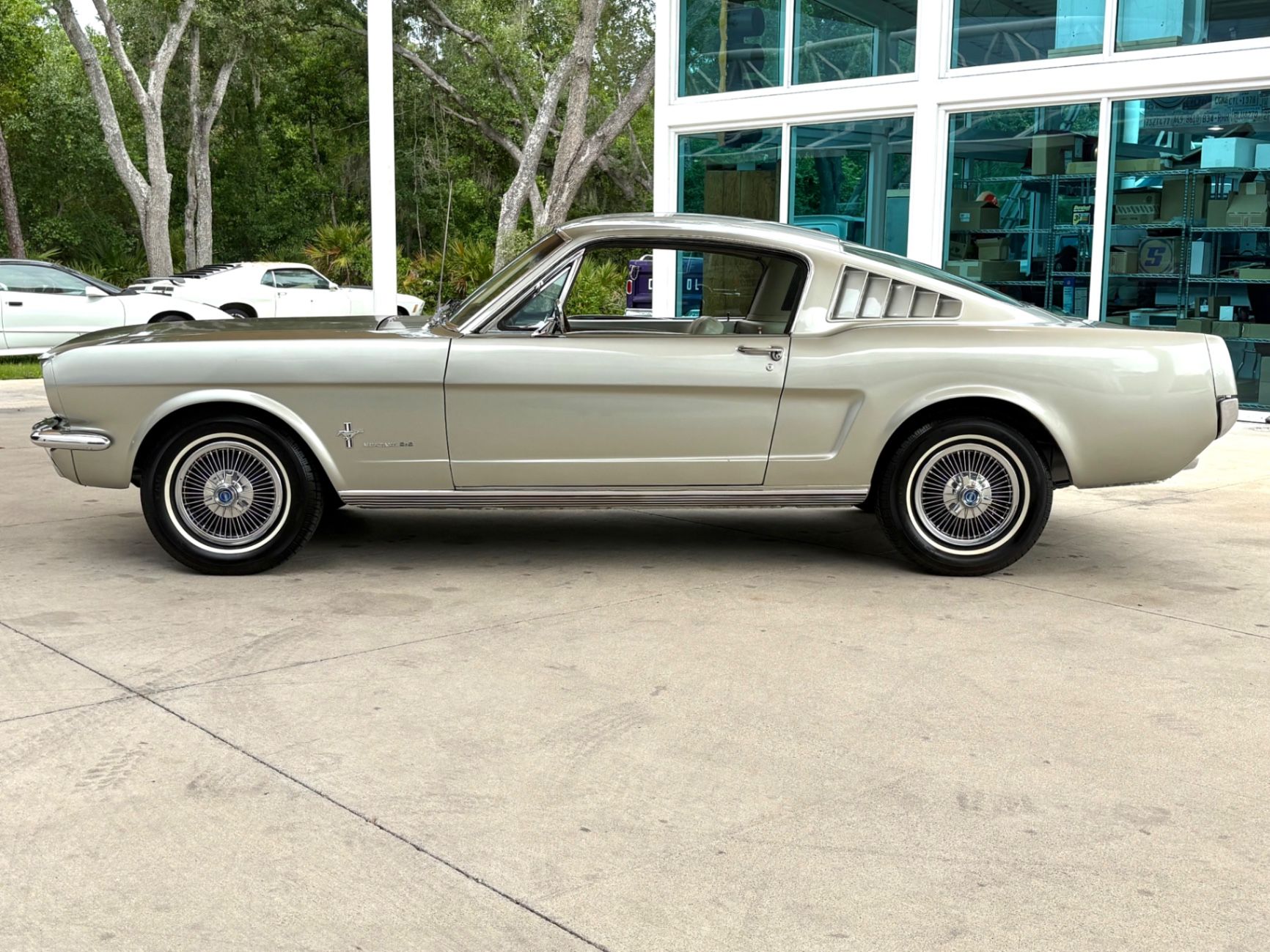 1966 Ford Mustang Base, foto 10