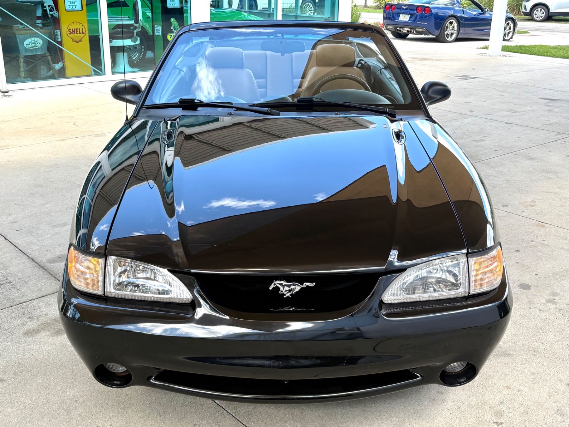 1995 Ford Mustang Cobra, foto 3