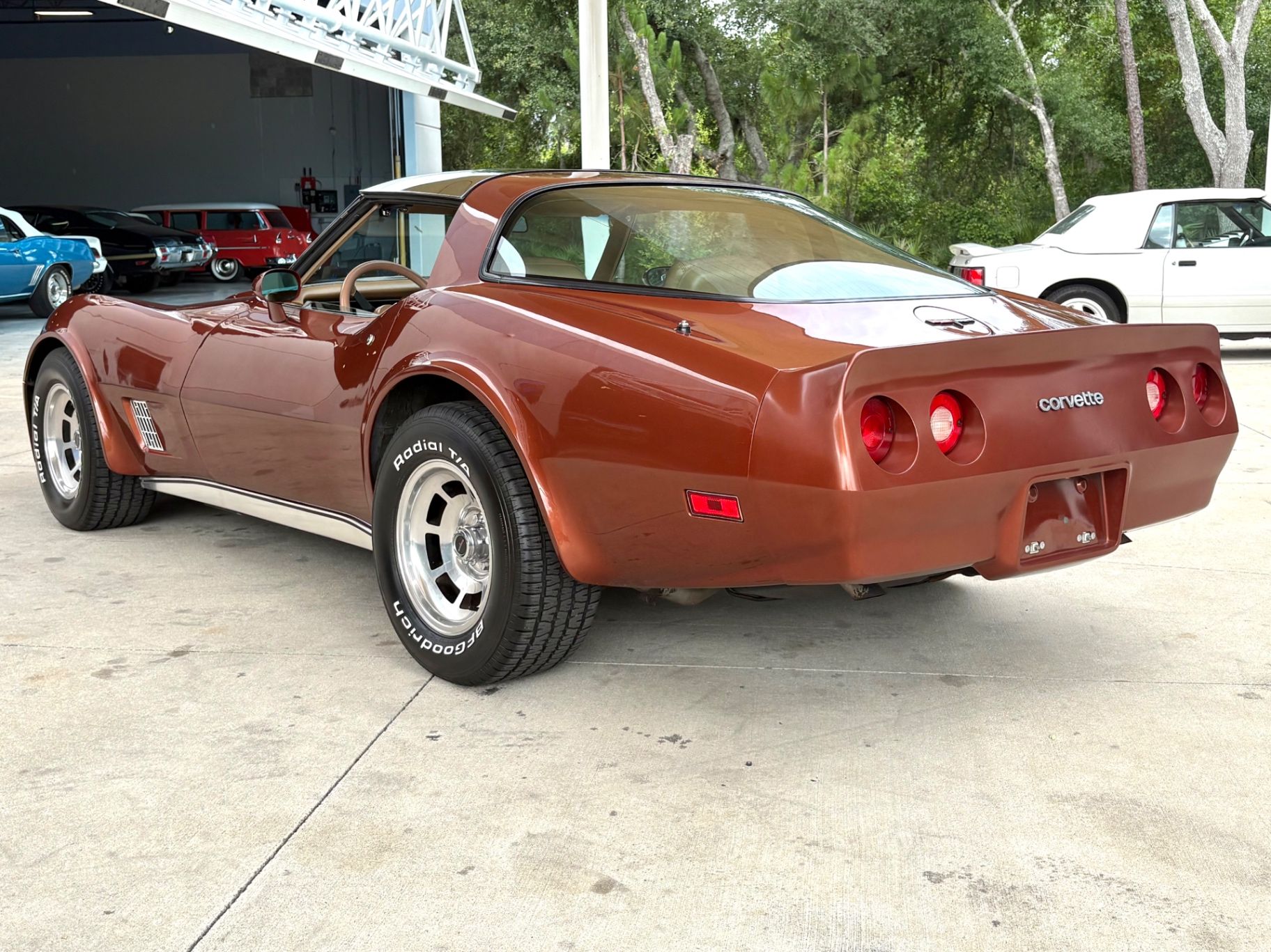 1981 Chevrolet Corvette Base, foto 9