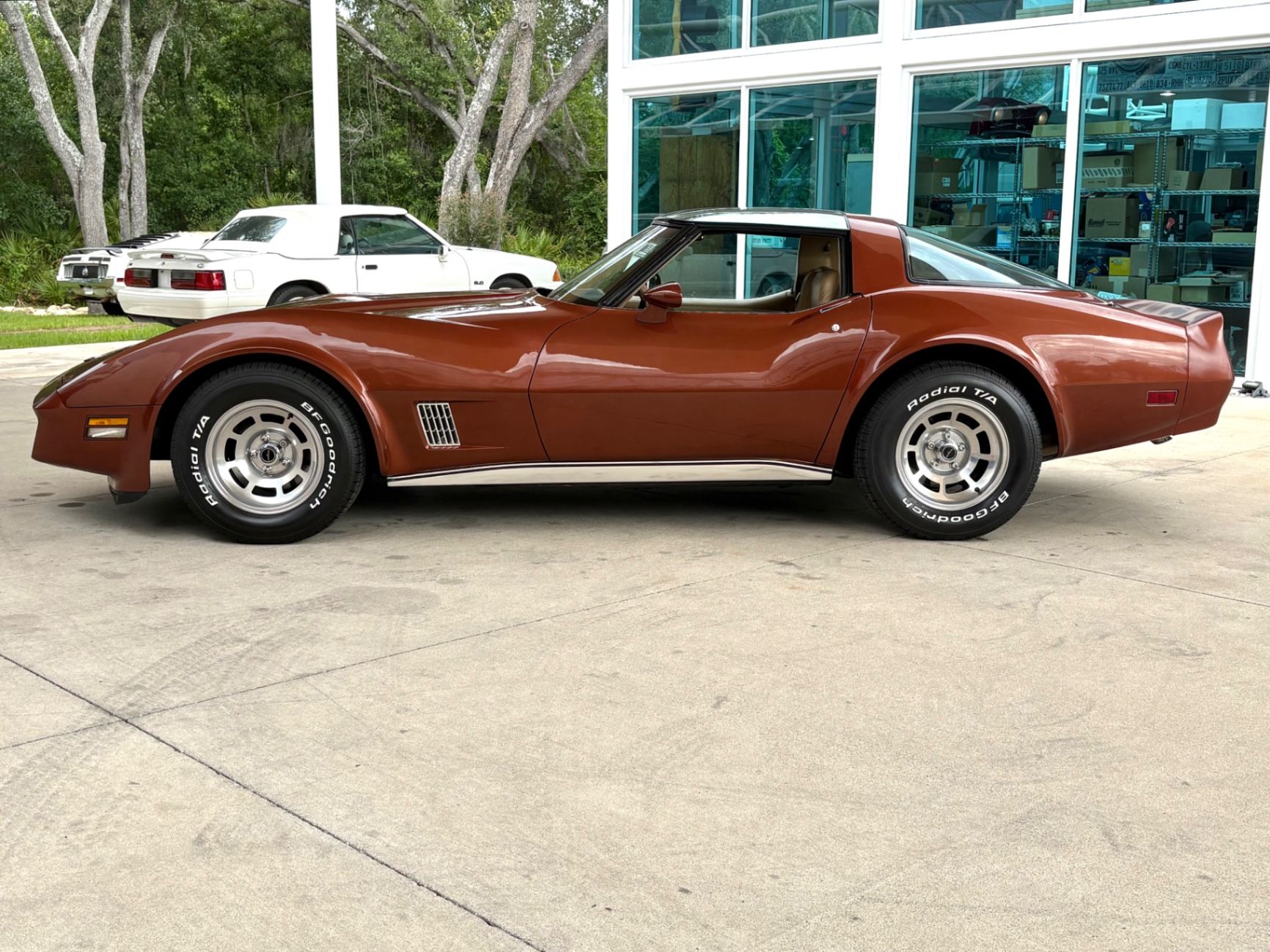 1981 Chevrolet Corvette Base, foto 10