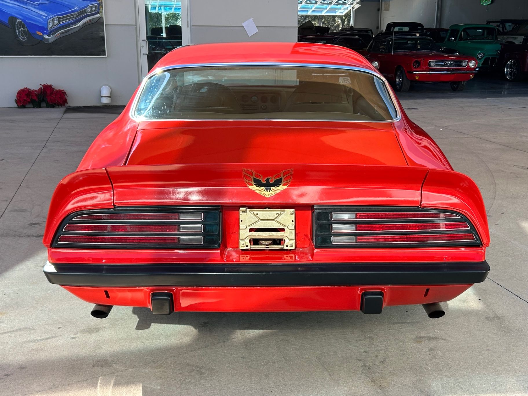 1974 Pontiac Firebird Formula 400, foto 6