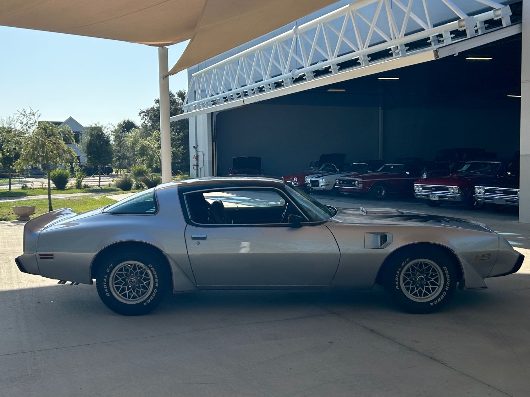 1979 Pontiac Firebird Trans Am Trans Am, foto 4