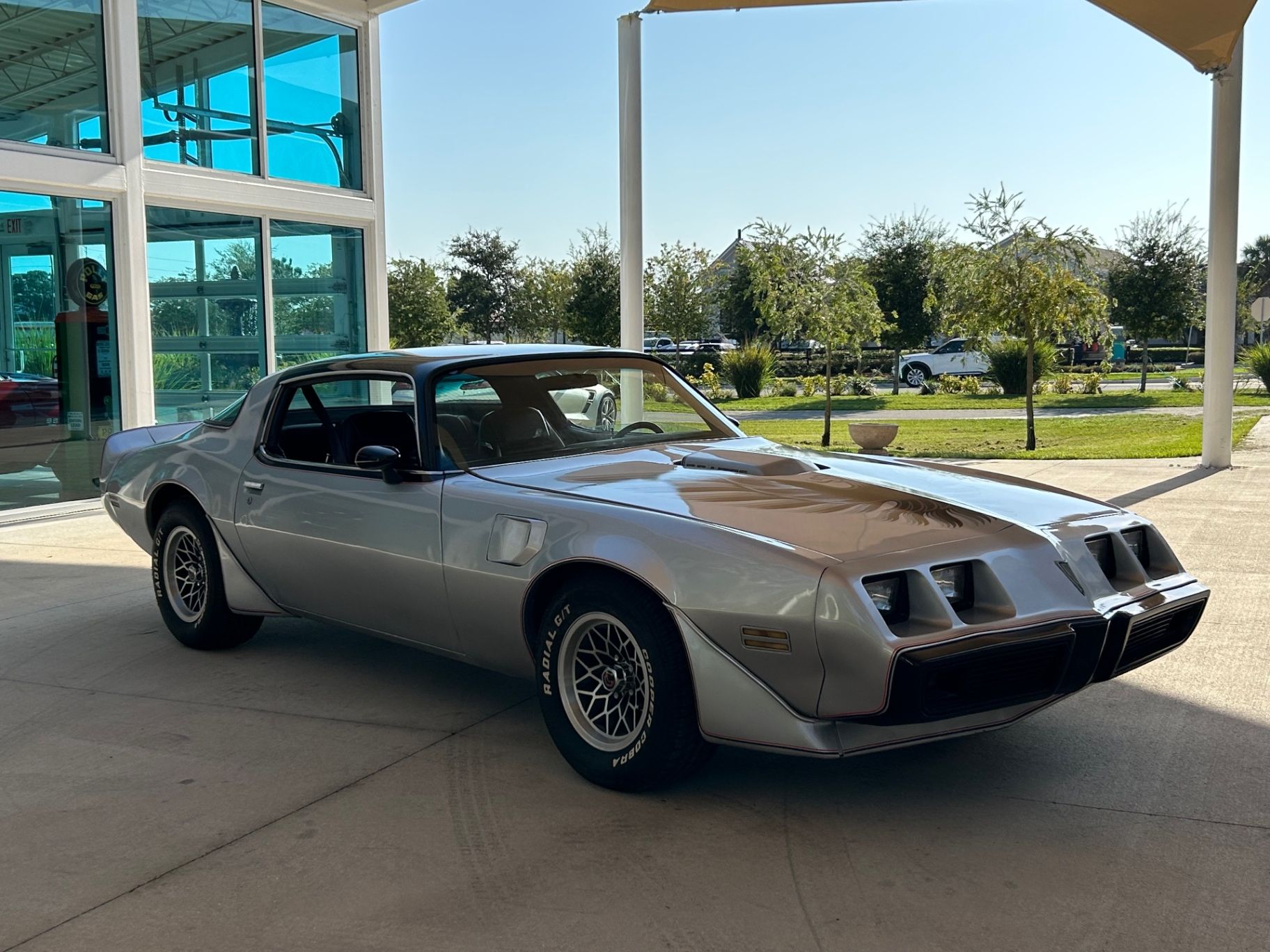 1979 Pontiac Firebird Trans Am Trans Am, foto 3
