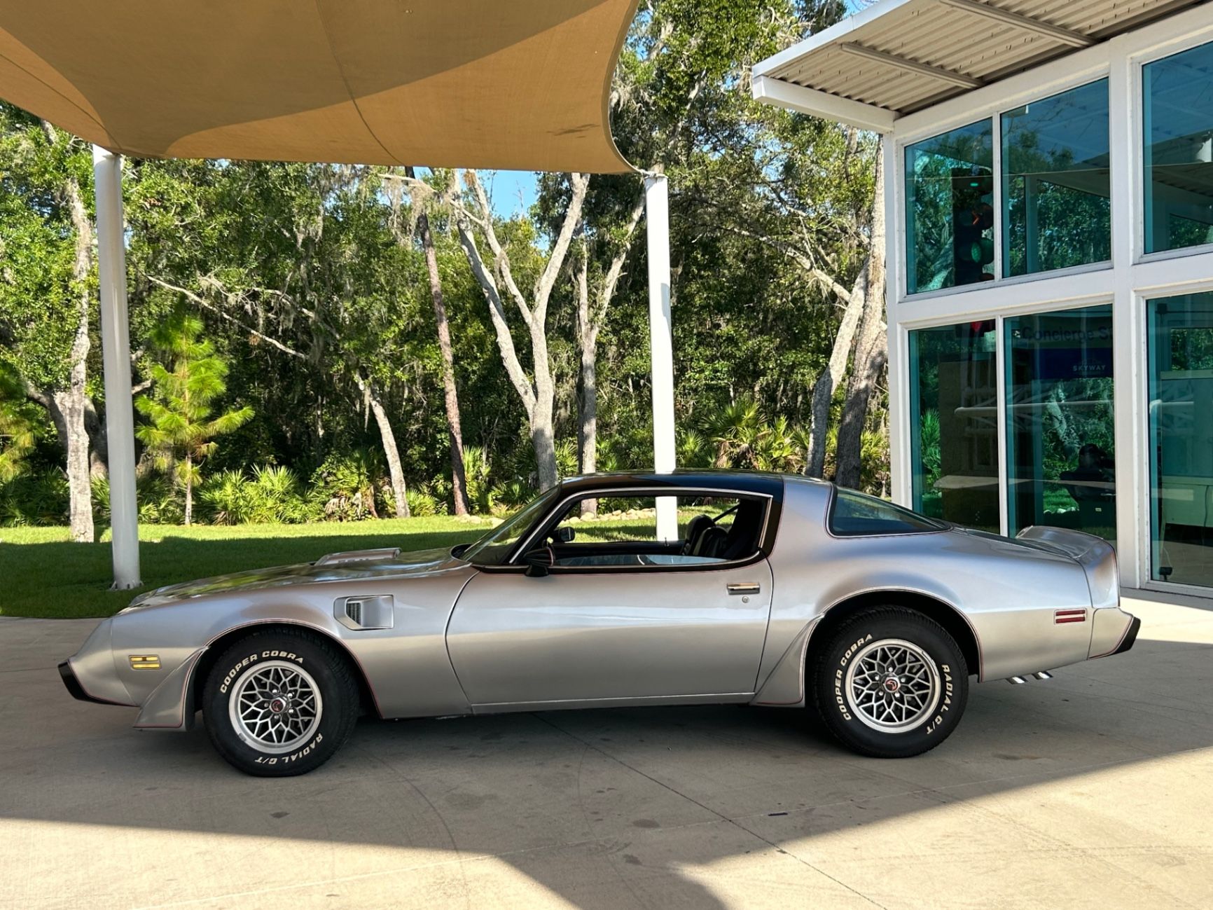 1979 Pontiac Firebird Trans Am Trans Am, foto 11