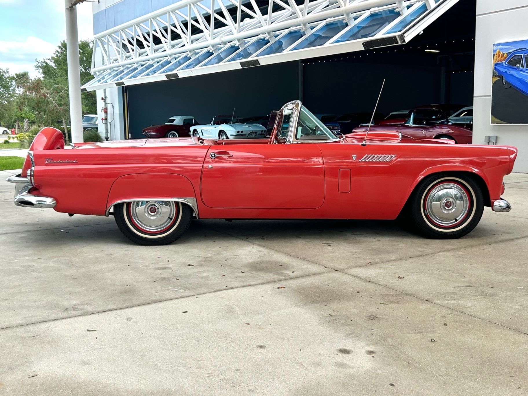 1956 Ford Thunderbird Base, foto 4