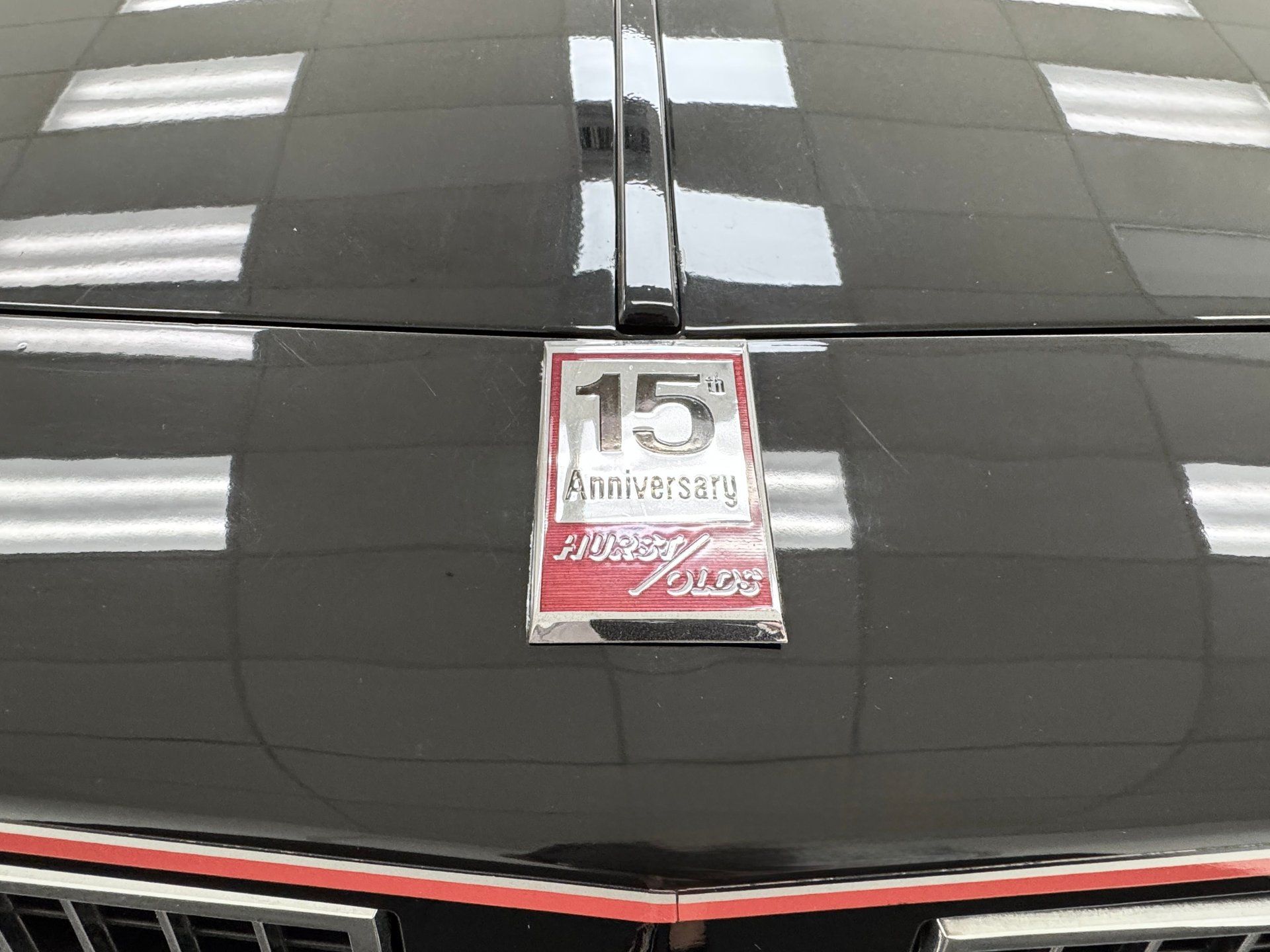1983 Oldsmobile Cutlass Hurst/Olds 15th Anniversary, foto 10