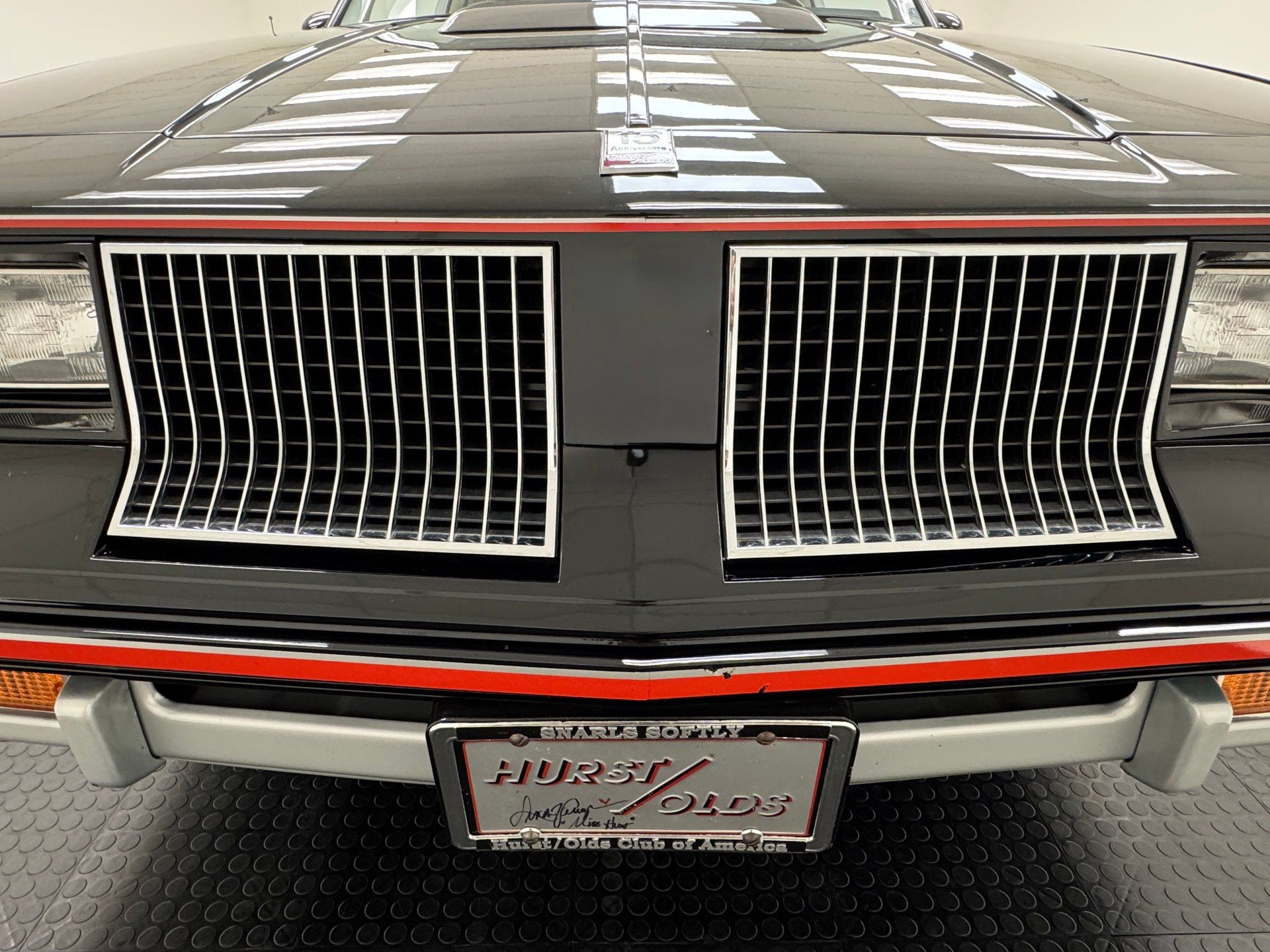 1983 Oldsmobile Cutlass Hurst/Olds 15th Anniversary, foto 9