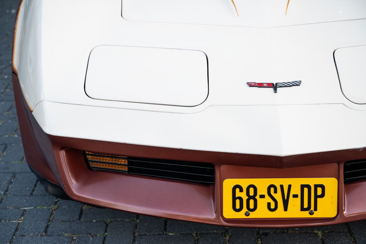 1981 Chevrolet Corvette C3, foto 10