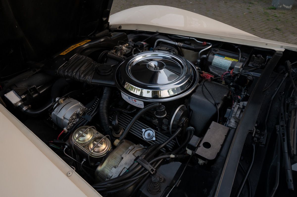 1981 Chevrolet Corvette C3, foto 9
