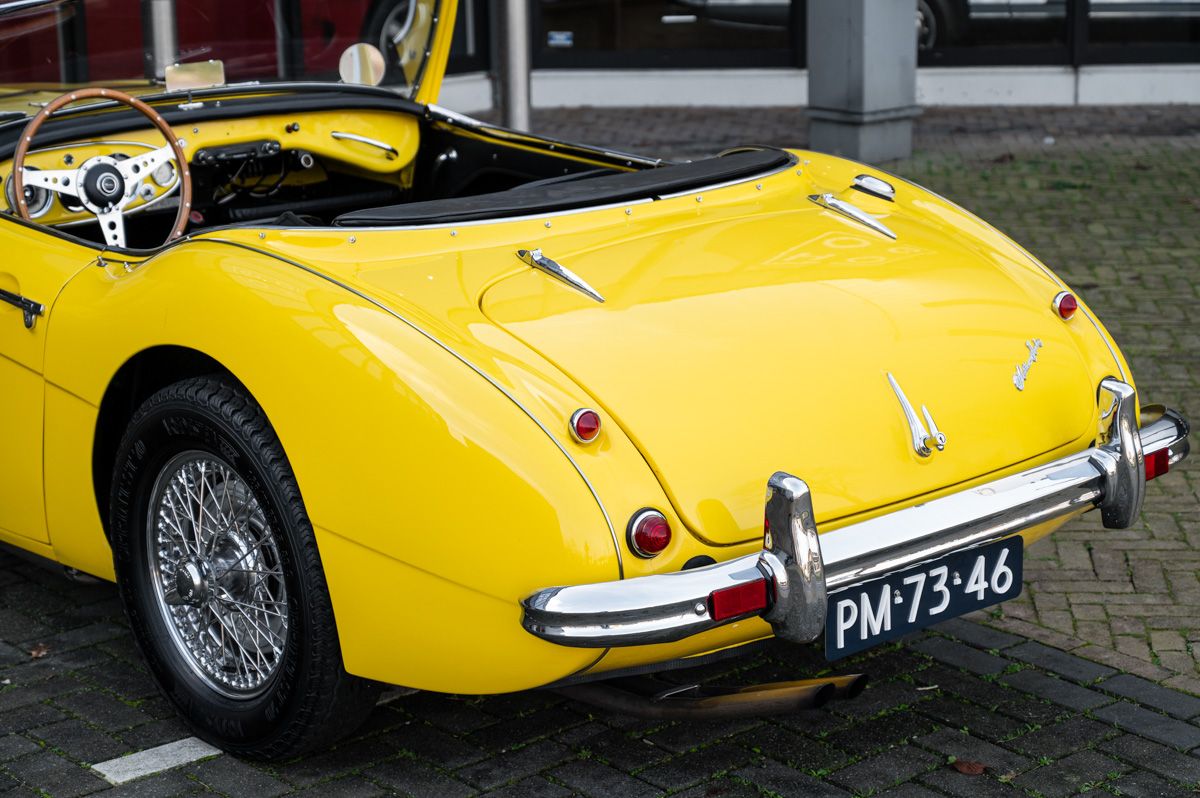 1957 Austin Healey 100 6, foto 6