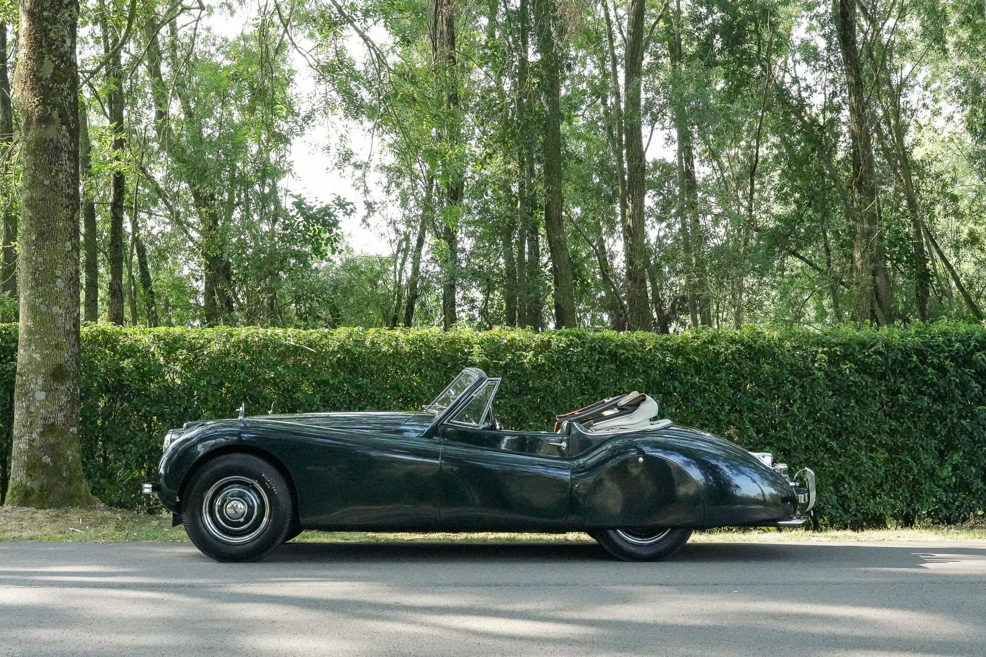 1953 Jaguar XK 120 Drophead Coupé, foto 2