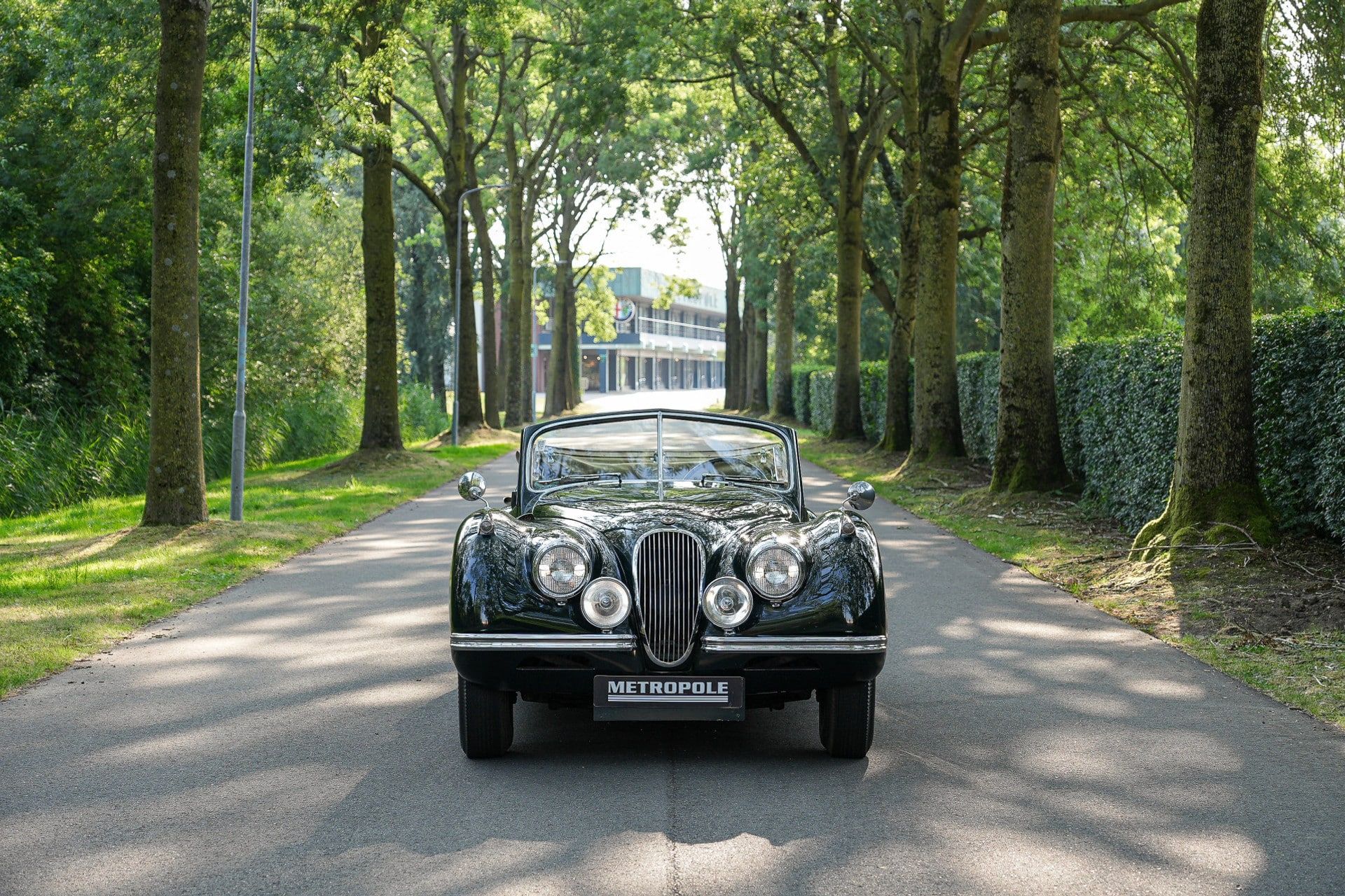 1953 Jaguar XK 120 Drophead Coupé, foto 9