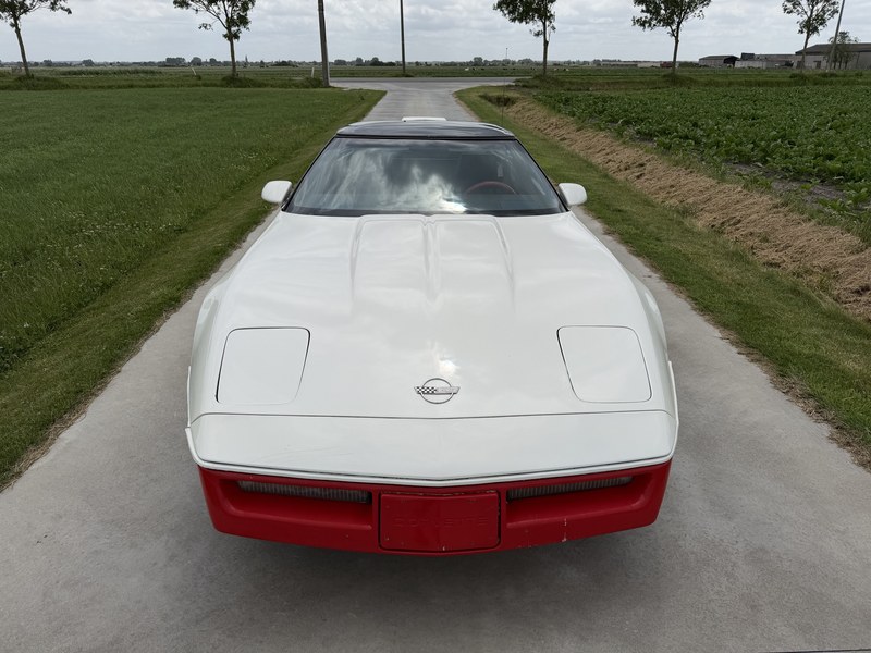 1979 Chevrolet Corvette C4, foto 4