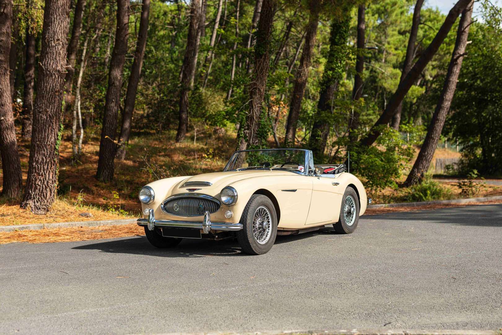 1960 Austin-Healey 3000 Mark 2, foto 1