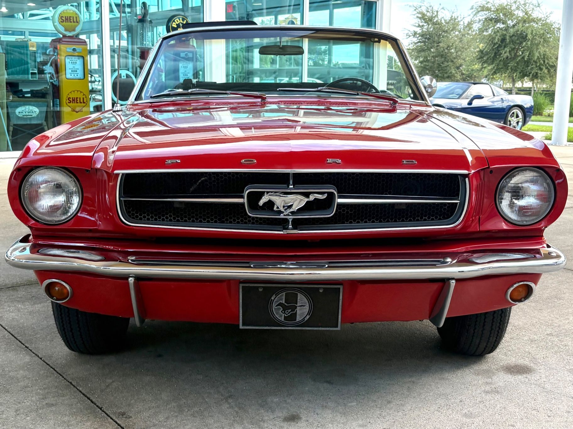 1965 Ford Mustang Sprint 200 First generation, foto 2