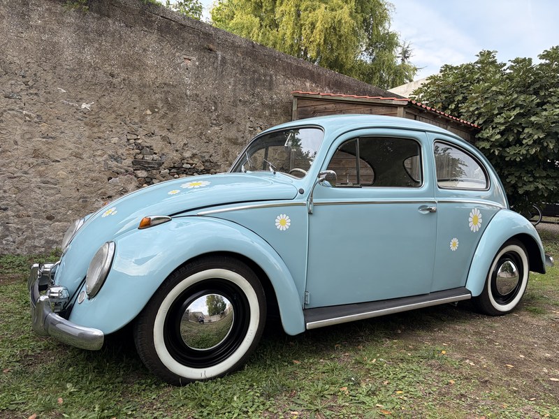 1959 Volkswagen Beetle, foto 4
